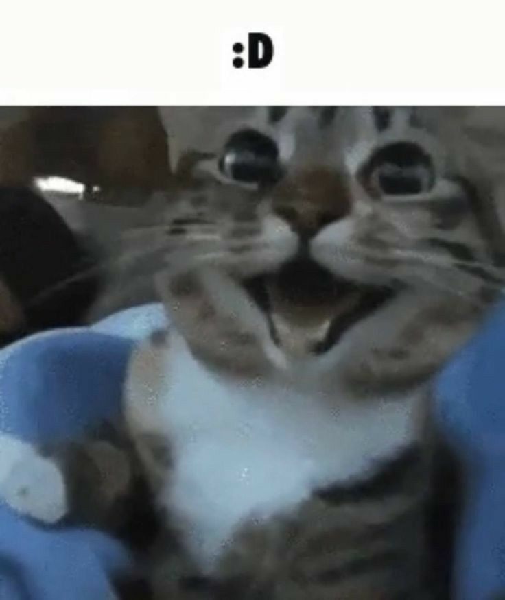 картинка не загружена :(