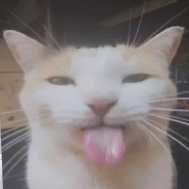 картинка не загружена :(