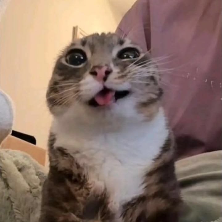 картинка не загружена:(